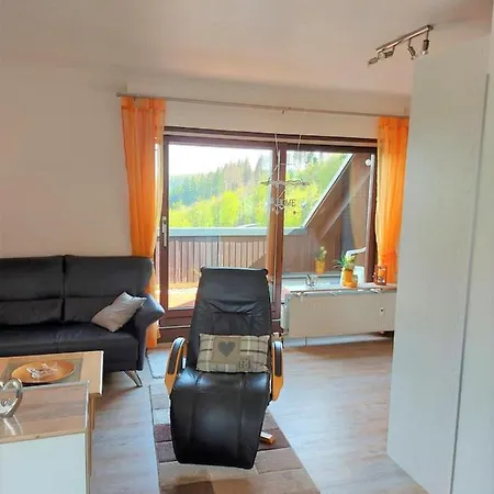 Apartment Ferienwohnung Traumblick Winterberg